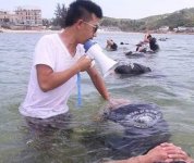 保鏢和保安有什么區(qū)別？